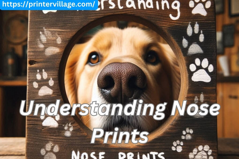 Understanding Nose Prints